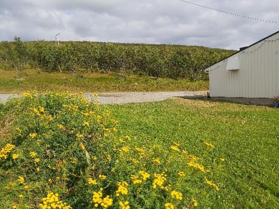 Varangertunet Bed & Breakfast Jakobselv エクステリア 写真