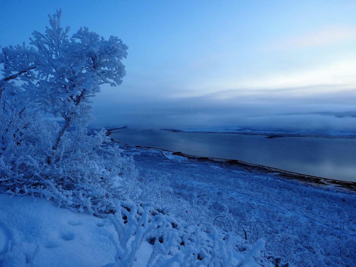 Varangertunet Bed & Breakfast Jakobselv エクステリア 写真